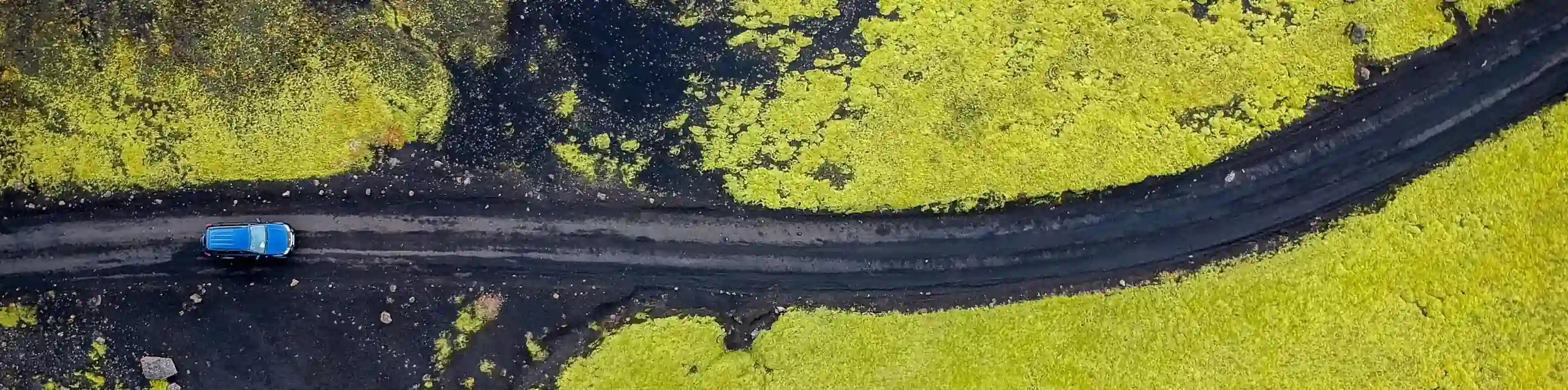 Separatore decorativo